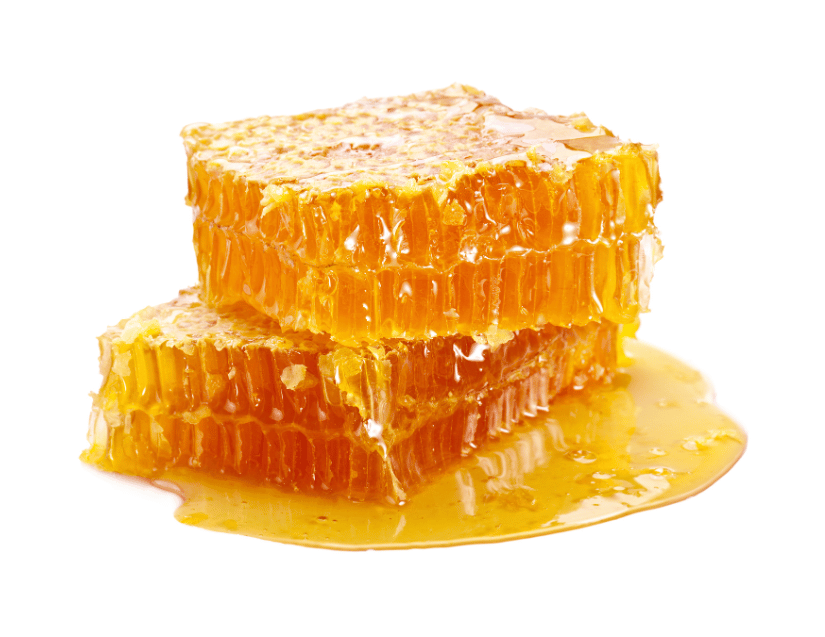 Les Vertus du Miel de Manuka